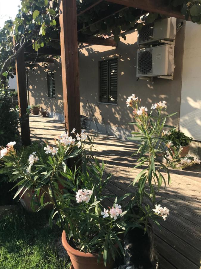 Istrska Hisa Centurium Villa มาเรซิเก ภายนอก รูปภาพ