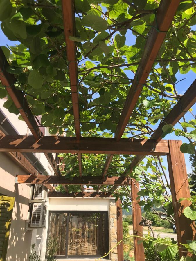 Istrska Hisa Centurium Villa มาเรซิเก ภายนอก รูปภาพ